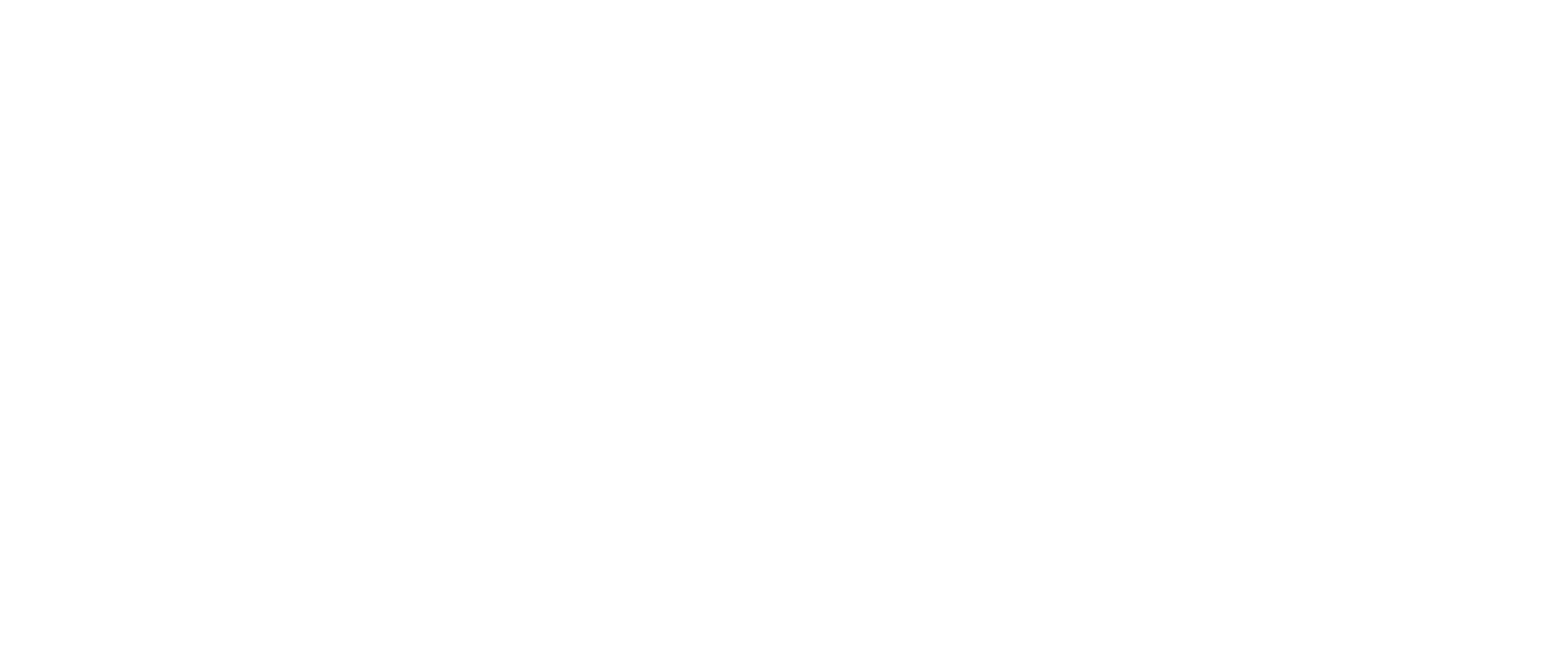 laser loft-logo-h-white